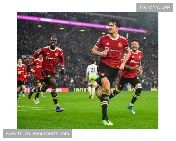 西汉姆联：欧战出色，联赛保级无忧？，西汉姆联近况